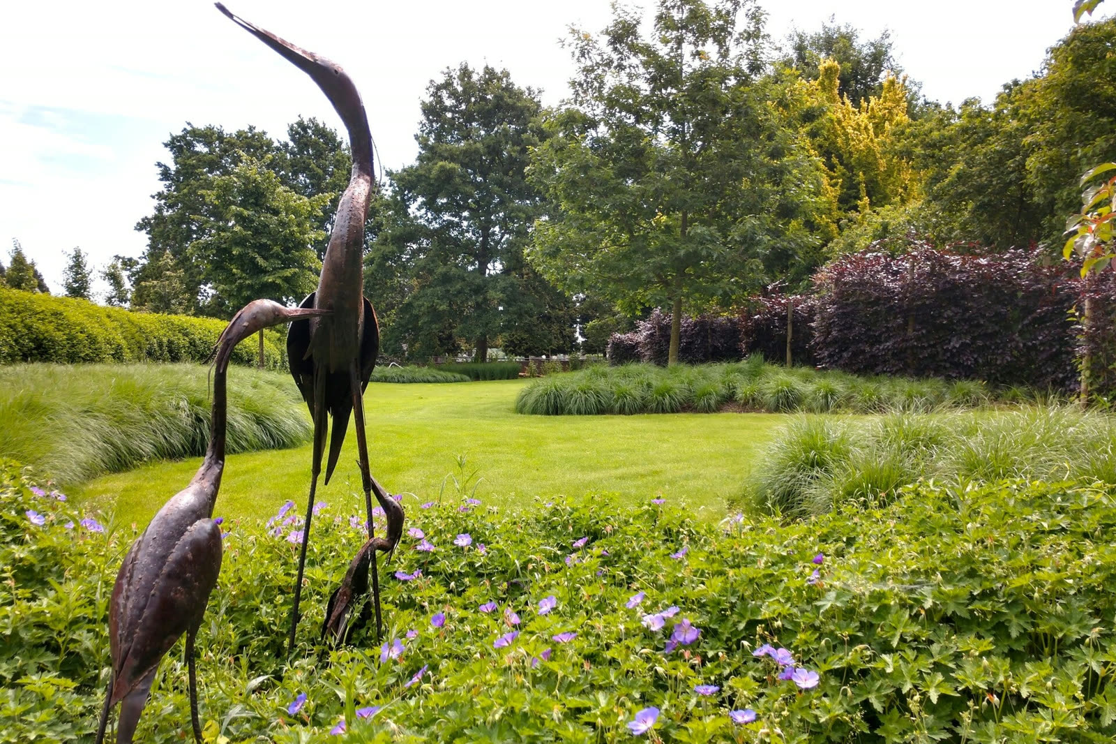 Tuinontwerp & 3D