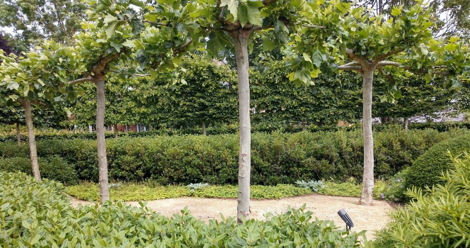 Realisatie van Casa Verde Tuinen 4