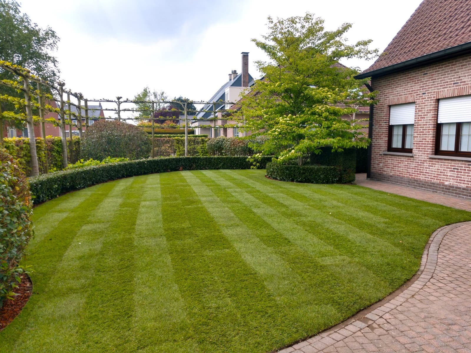 Realisatie van Casa Verde Tuinen 42